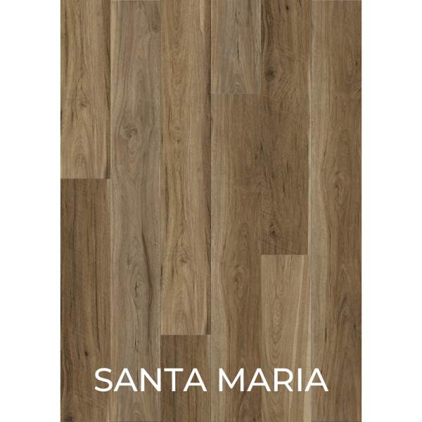 V3012 SANTA MARIA