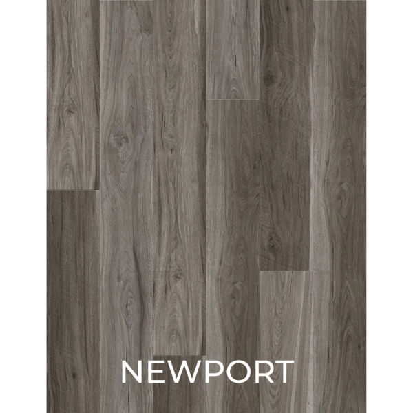 V3019 NEWPORT