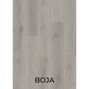 V3027 BOJA