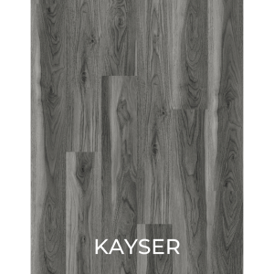 V3028 KAYSER