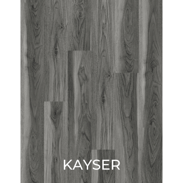 V3028 KAYSER