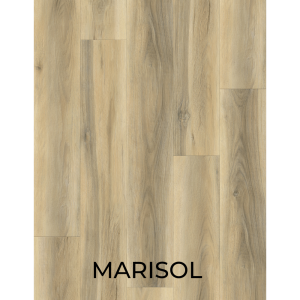 V3036 MARISOL