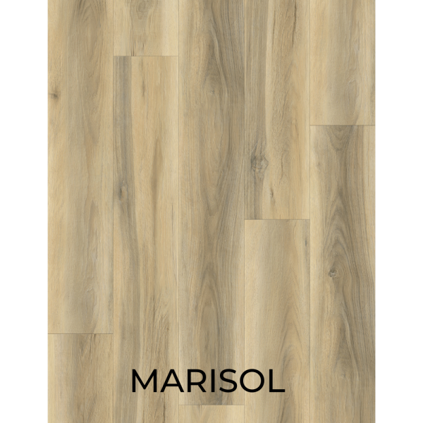 V3036 MARISOL