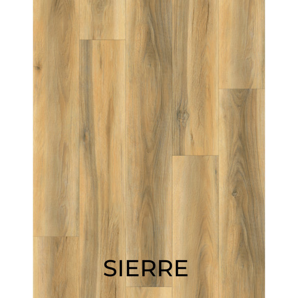 V3037 SIERRE