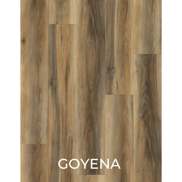V3038 GOYENA