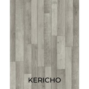 V3051 KERICHO