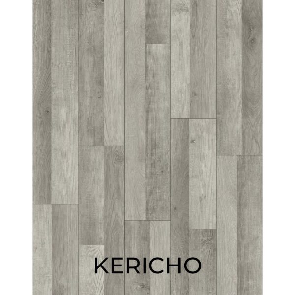 V3051 KERICHO
