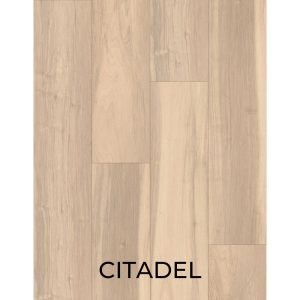 V3059 CITADEL