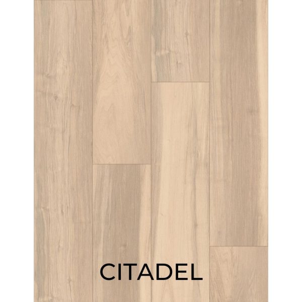 V3059 CITADEL