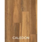 Caledon