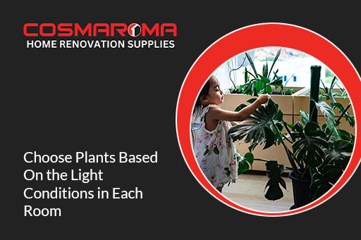 Select plants according to room light