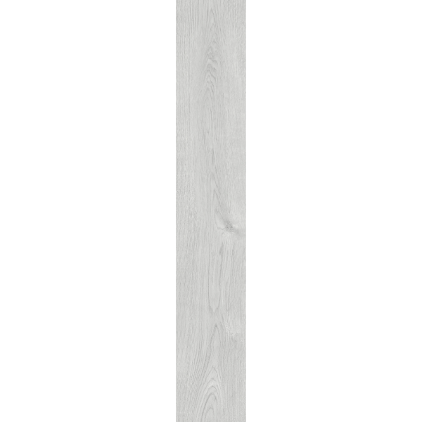 CT53001 SILVER OAK