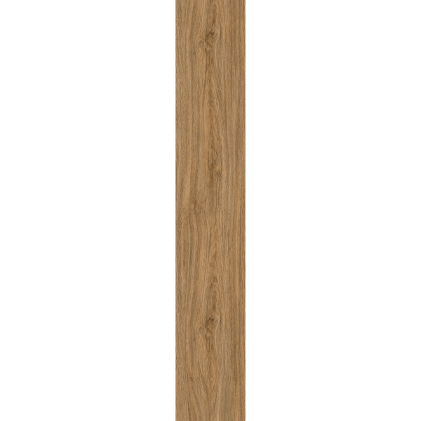CT53004 MEDIVAL OAK