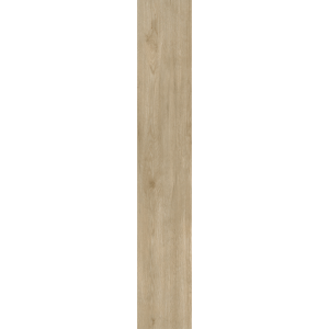 CT73004 SILVER CEDAR