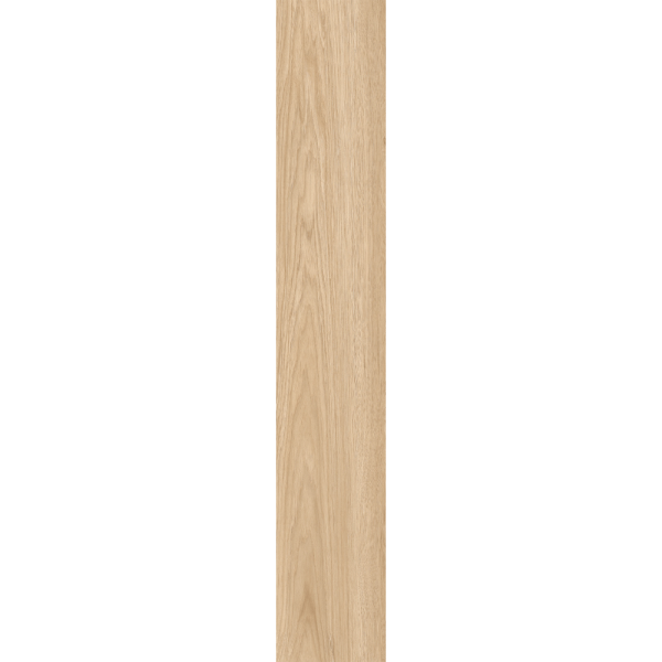 CT74008 DESERT SAND