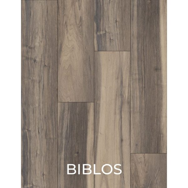 V3058 BIBLOS
