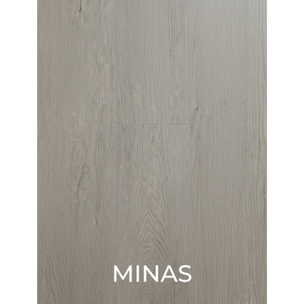 V2026 - MINAS
