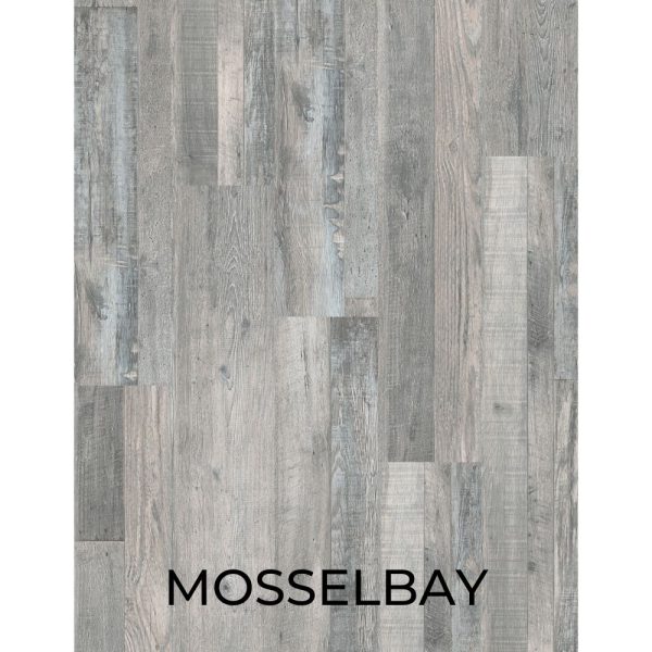V2033 - MOSSELBAY