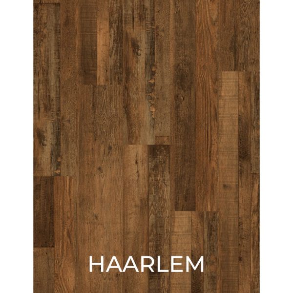 V2037 - HAARLEM