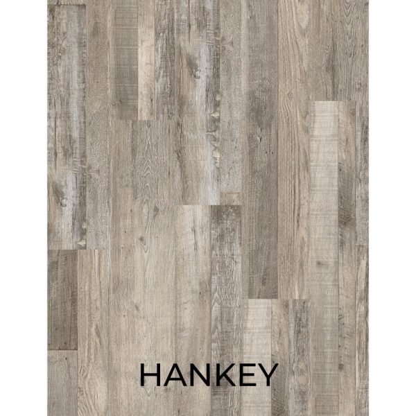 V2039 - HANKEY