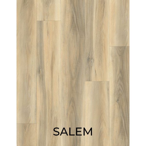 V2041 - SALEM