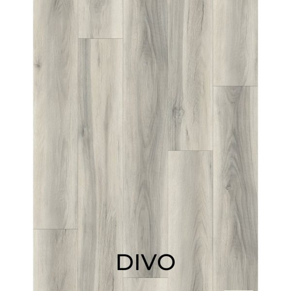 V2043 - DIVO