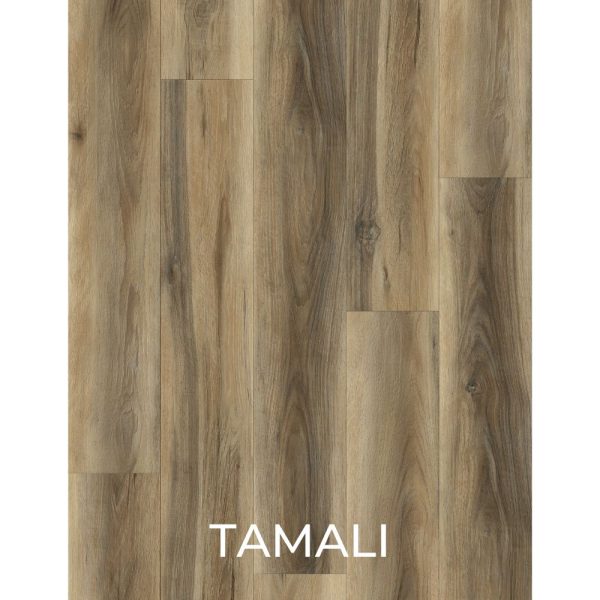 V2044 - TAMALI
