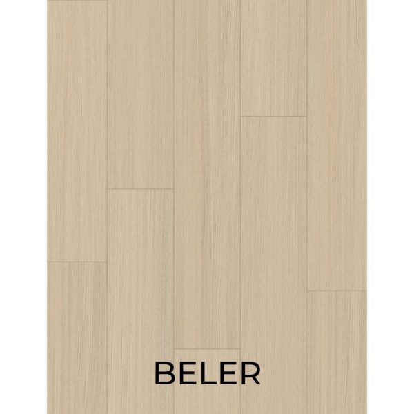 V2052 - BELER