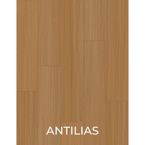 V2055 - ANTILIAS