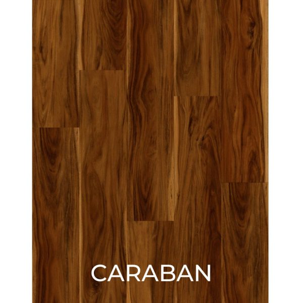 V2064 - CARABAN