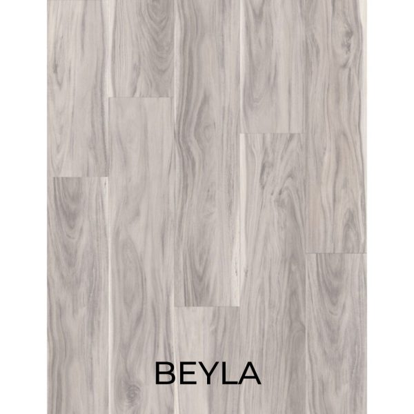 V2065 - BEYLA