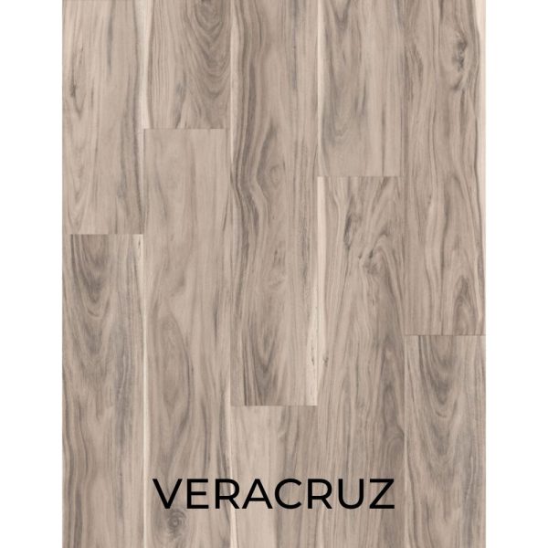 V2067 - VERACRUZ
