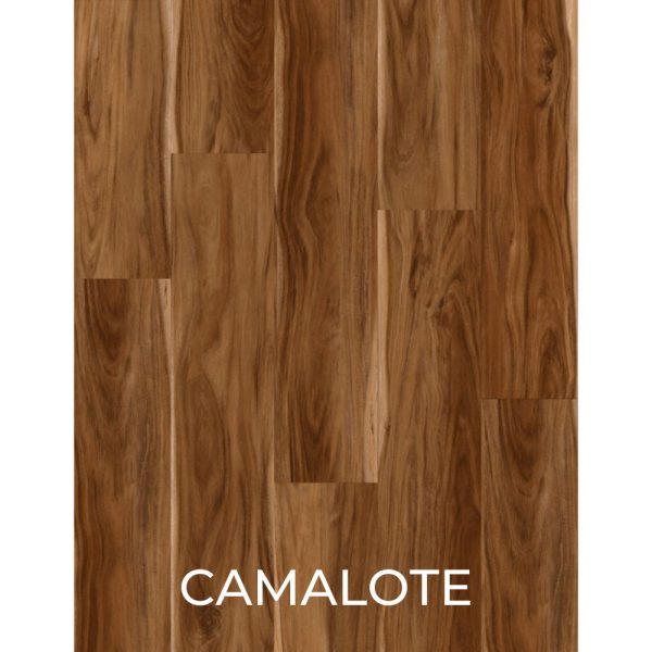 V2069 - CAMALOTE
