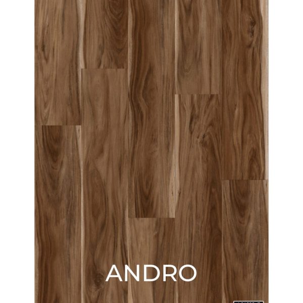 V2070 - ANDRO