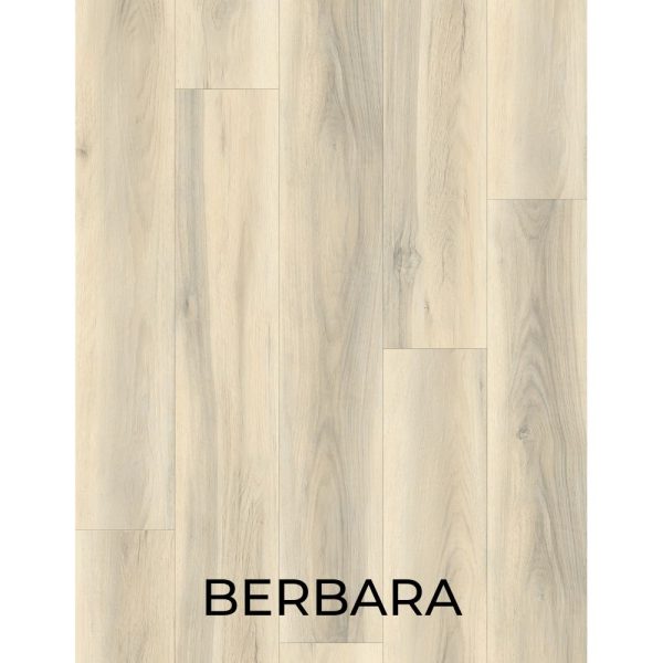 V2042 - BERBARA