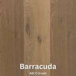 Barracuda