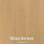 Bliss Street
