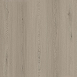 Mojave Dune