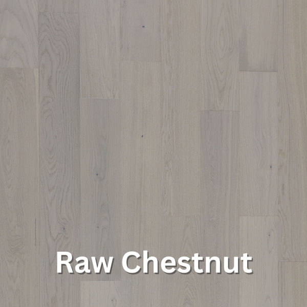Raw Chestnut (NEW version)