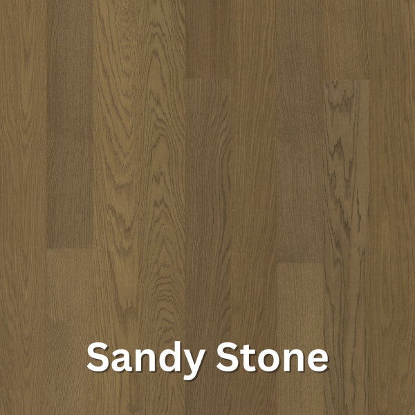 Sandy Stone