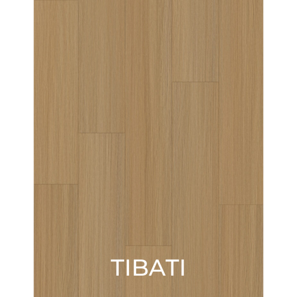 V2051 - TIBATI