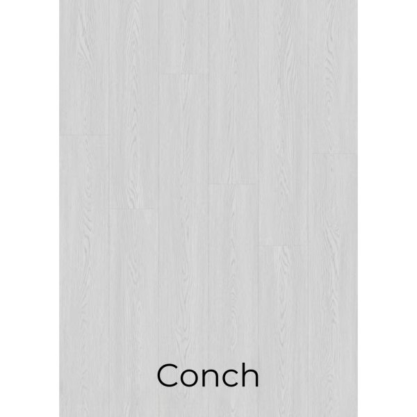 E714 Conch