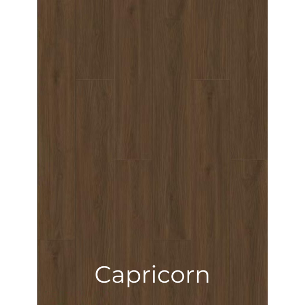 W902 Capricorn