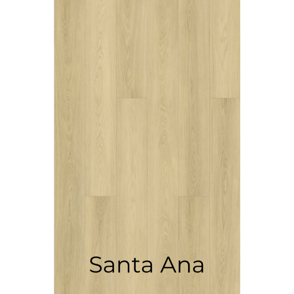 W904 Santa-Ana