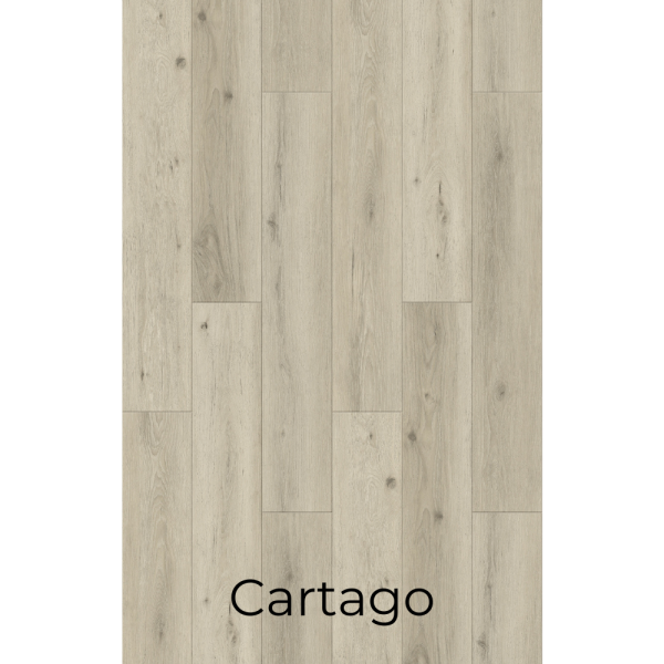 W910 Cartago