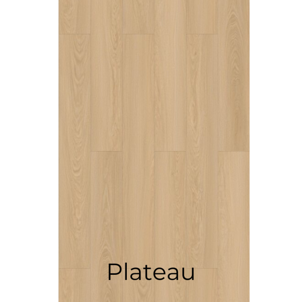 W924 Plateau