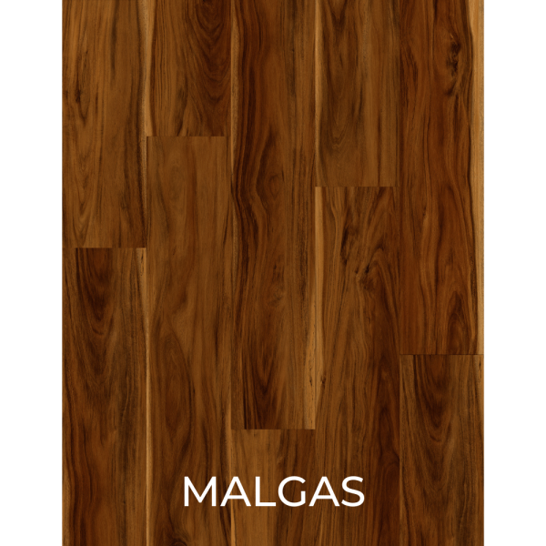 V2025 - MALGAS
